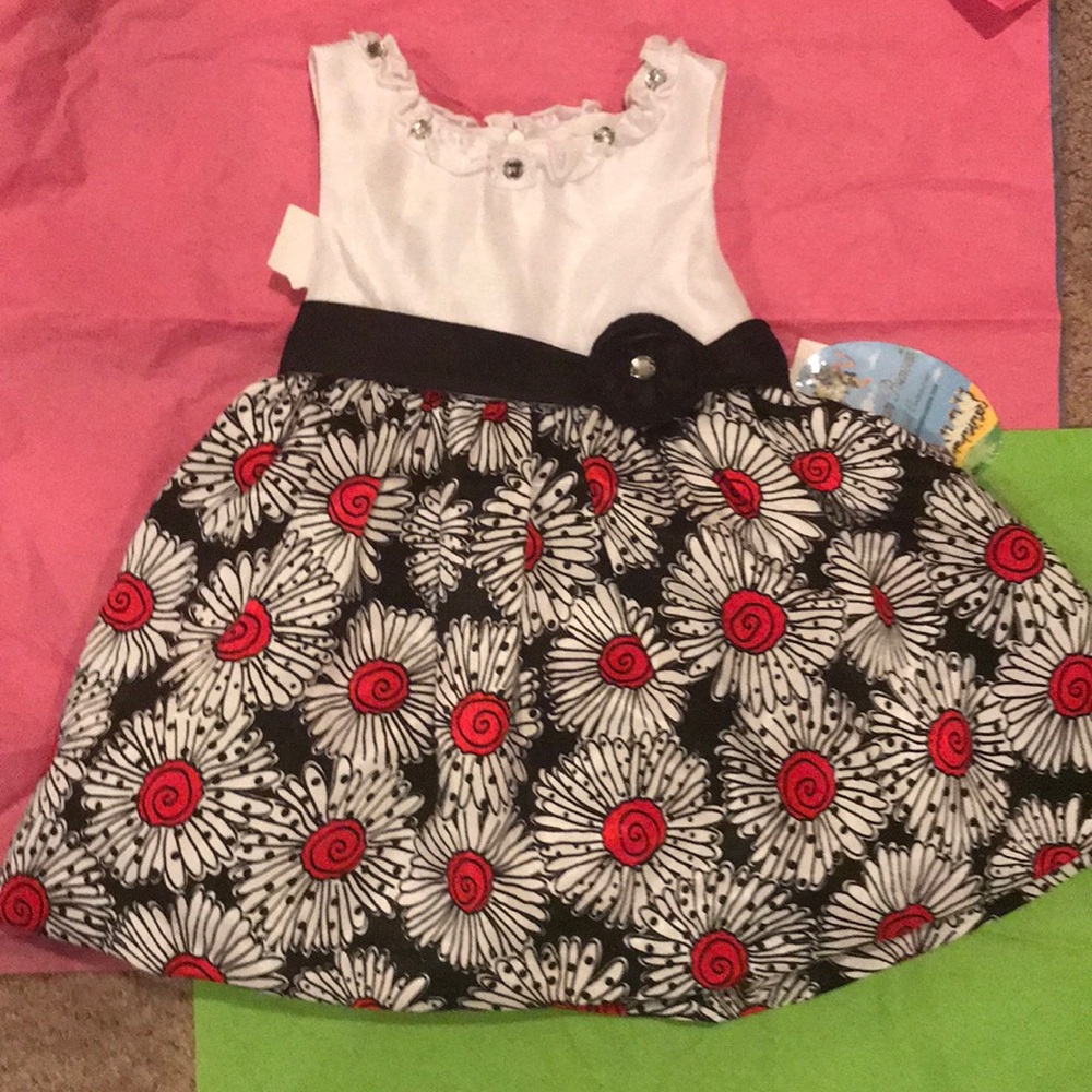 🧚🏼‍♀️ Cute Girls Party Dress NWT🧚🏼‍♀️